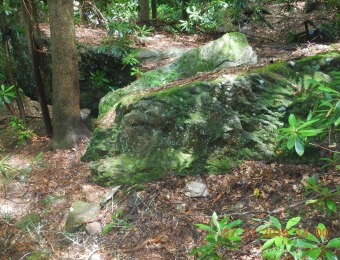 DSCN2815