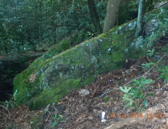 DSCN2905