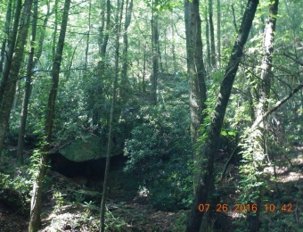image-101