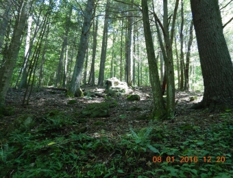 image-102