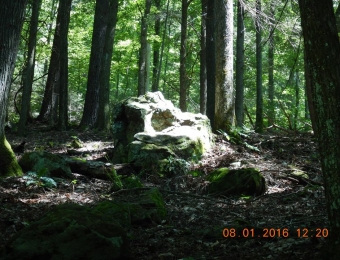 image-103