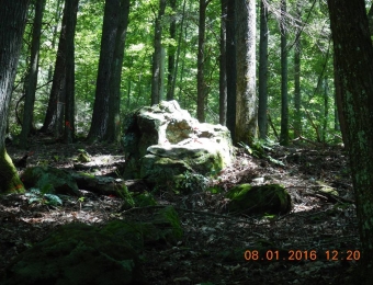 image-104