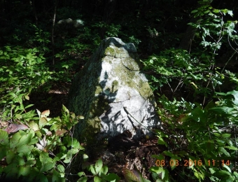 image-105