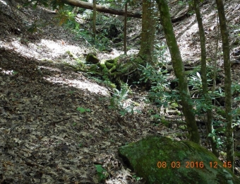 image-110
