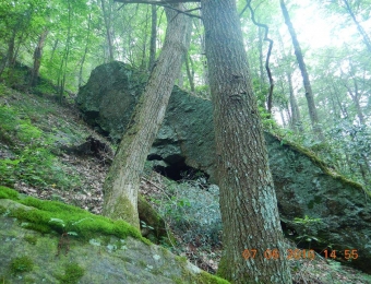 image-114