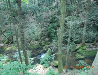 image-15