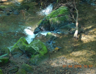 image-16