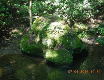 image-18