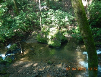 image-19
