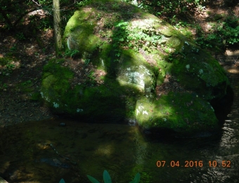 image-21