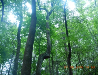 image-25