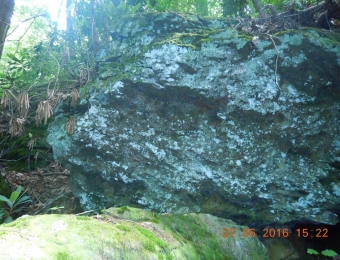 image-30