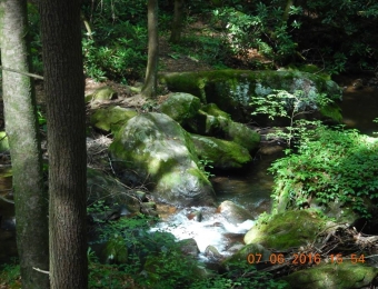 image-33