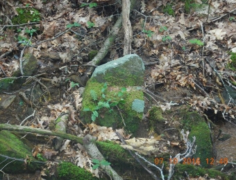 image-35