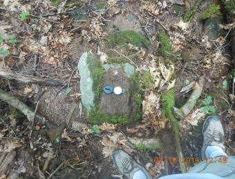 image-36