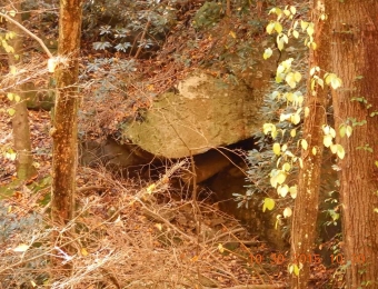 image-4