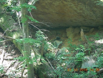 image-41
