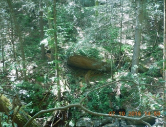 image-44