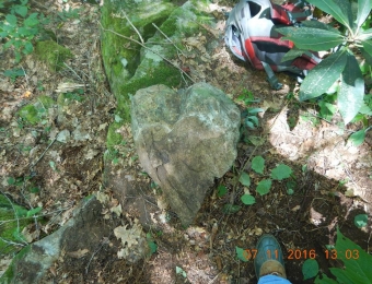 image-48