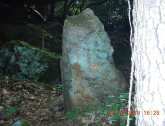 image-49