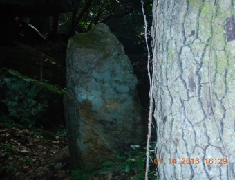 image-51