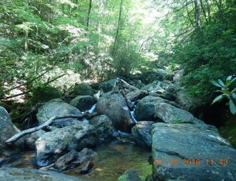 image-54