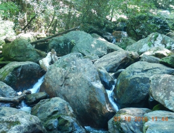 image-56