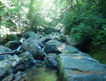 image-57