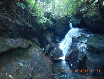 image-63