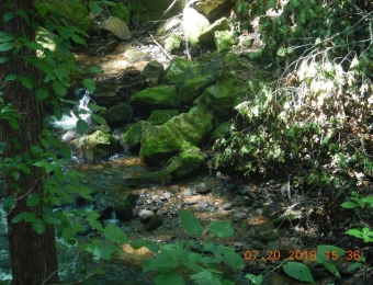 image-65