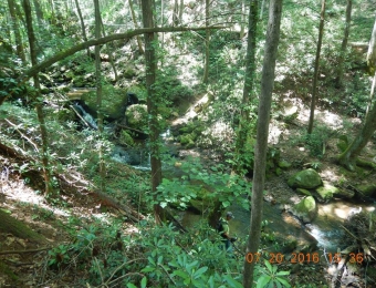 image-66