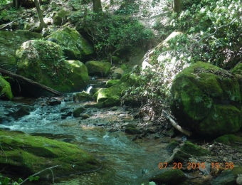 image-67