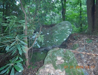 image-68