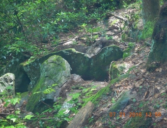 image-75