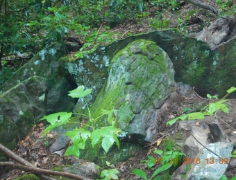 image-77