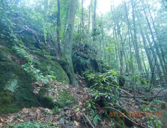 image-80