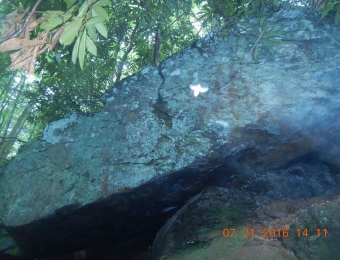 image-82