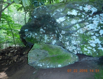 image-85