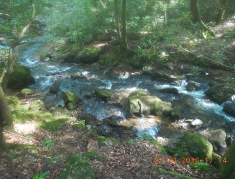 image-95