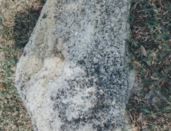 82