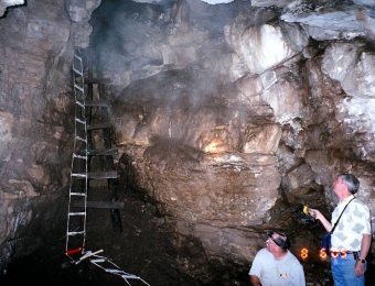 85